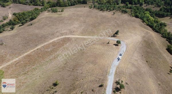 Yalova Merkez Güneyköy'de Ana Yola Yakın Satılık 9.572m² Tarla