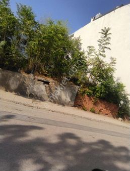 İhtiyaçtan Satılık 4 Kat İmarlı Arsa 201 M Kare Pazarlığı Vardır