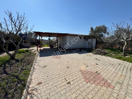 Buca Karacaağaç'ta Elkt, Su, Ev, Etrafı Çevrili Satılık Arazi