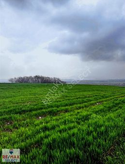 Çatalca Bahsayiş Mahallesi Satılık Arazi