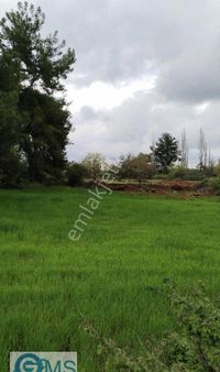 Antalya Döşemealtı Düzler Çamında Satılık 504m2 Villa Arsası