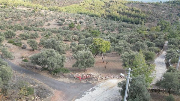 Muğla Bodrum Bahçeyakası'nda Anayola 105m Cepheli 6.186m² Arazi