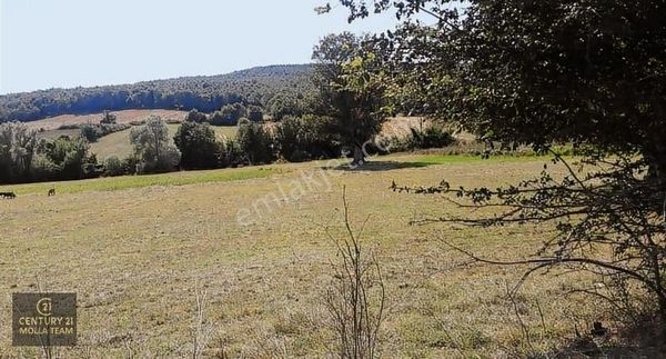 Molla Team'den Çatalca Başakköyde Satılık 3572m2 Tarla