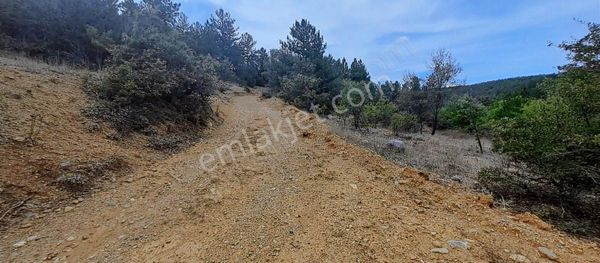 Konya Beyşehir Üzümlü De Satılık Tek Tapu Bağ Yeri 1054m
