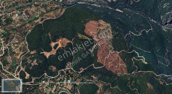 Lavinia'dan Fethiye Nif Satılık 6248 M² Tek Tapu Tarla