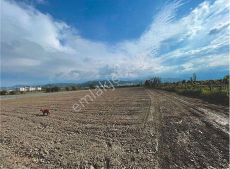 Salihli Yılmaz Mh.3 Kat İmarlı Satılık Arsa