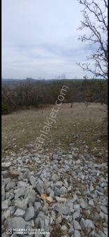 Denizova Mah1.316m2 Satılık