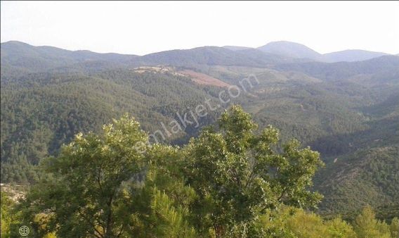 Çanakkale Kirazlı Da Doğayla İçiçe Tarla...