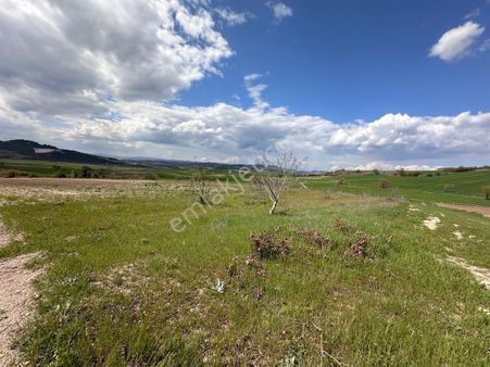 Yenişehir'de Çamönü Köyünde 8 Dönülük Yatırımlık Tarla