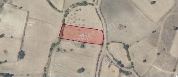 Elfi Den Otoyol Ve Köye Yakın Hobi Evi Yapılacak Bahçe