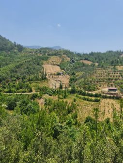 Acil Satılık Alanya Beldibi 7.748 M2 Tarla