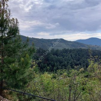 Acil Satılık Alanya Fakırcalı 1.455 M2 Tarla