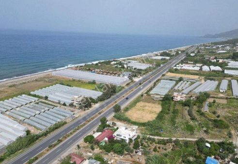 Acil Satılık Alanya Yeşilöz 100.000 M² Tarla