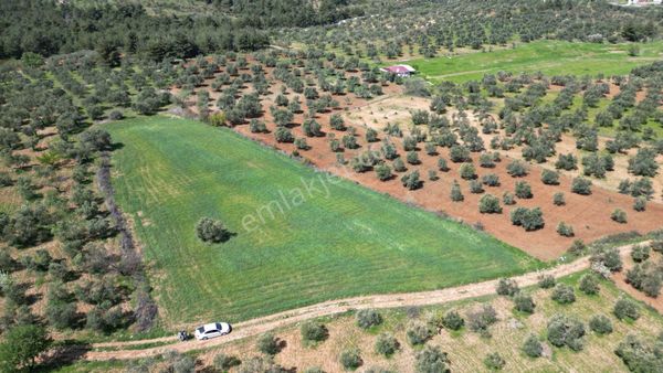 Çanakkale Dümrek Köyü Satılık Tarla Kelepir