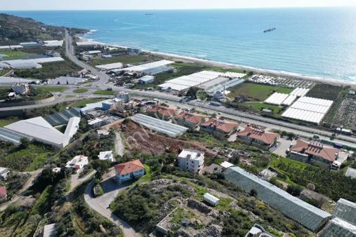 Acil Satılık Alanya Yeşilöz Muz Serası Ve Avokado Bahçesi