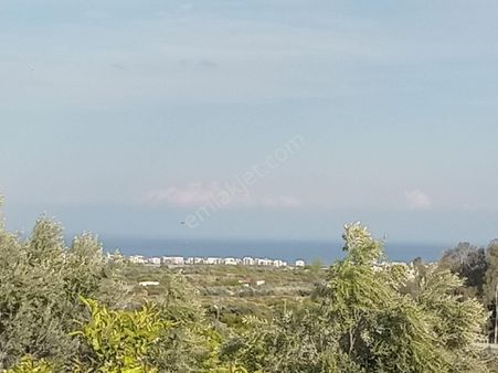 Mersin Erdemli Elvanlı'da Satılık Deniz Manzaralı 463 M.kare Tarla-mülkiyet