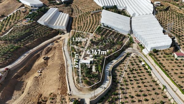 Acil Satılık Alanya Özvadi 5.950 M² Arsa