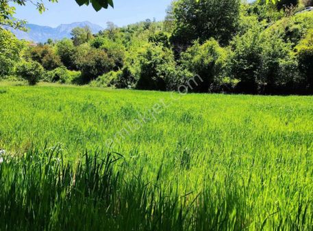 Acil Satılık Alanya Sapadere 2.130 M2 Tarla
