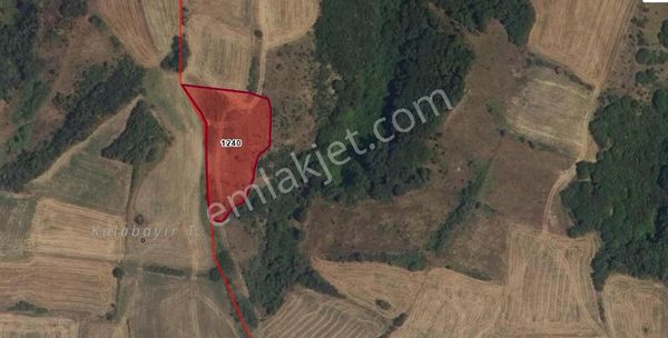 Kırklareli Pehlivanköy Akarca Tek Tapu Tarla 3200 M²