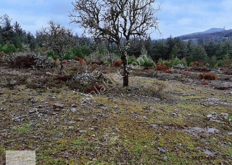 Çanakkale Merkez Karacalar Köyünde Satılık Tarla