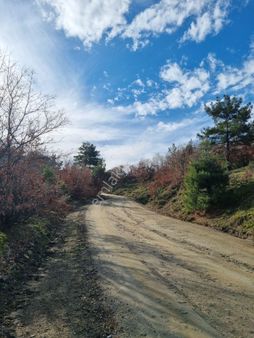 Oksijen Deposu Kaz Dağları Bayramiç Çırpılar'da 9700 M2 Tarla