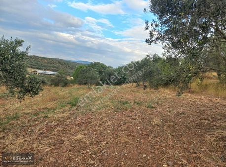 Burhaniye Hisar Mah. 10.500 M2 Satılık Fırsat Arazi