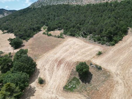 Geyve Hisarlık Mahallesi’nde Yatırımlık Satılık Tarla