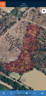 Yenicede 12,5 Dönüm Zeytinlik