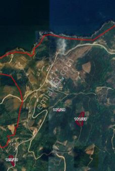 Dolunay Emlak'tan Sahil Yenice Köyünde Satılık Tarla