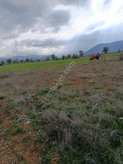 Atabey'den Acıpayam Silo Karşısı Satılık Arsa