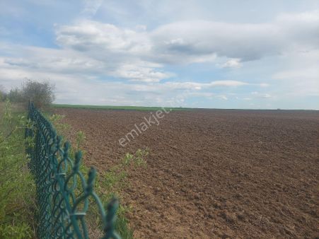 Lüleburgaz Hamitabat'ta Satılık Kupon Arazi
