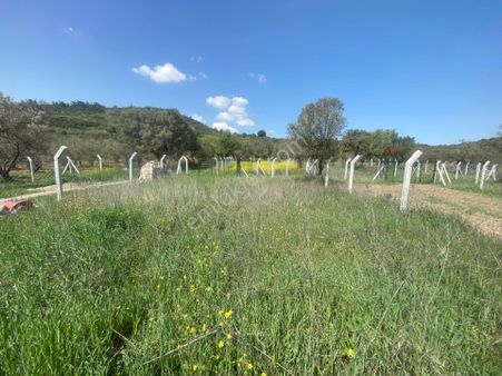 Aliağa Helvacıda Satılık Hobi Bahçesi Tapuda Satış Olacak