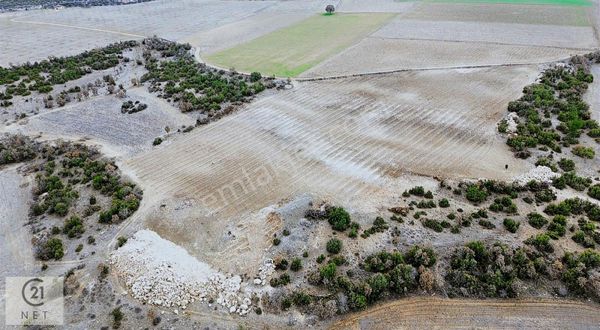 C21 Net'ten Güneyde Kaçırılmayacak Fırsat! 21.442 M² Üzüm Bağı