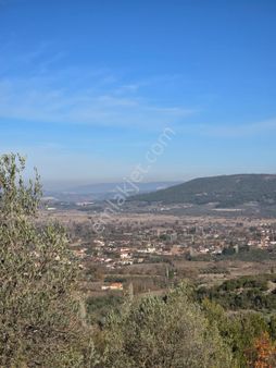 Muğla Menteşe Yeşilyurt Mah. 3.619 M2 Satılık Tarla