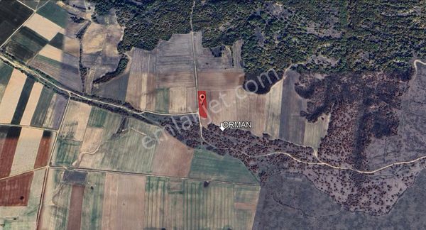 "demirol'dan" Resmi Yola Ve Ormana Cephe 4933 M2 Satılık Tarla