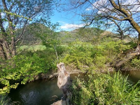 Muğla Ortaca Eskiköyde 12.805 M2 Hisseli Rızai Taksim Olan Tarla Satılık.