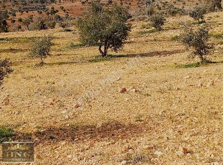 Battalda Satlık Arazi