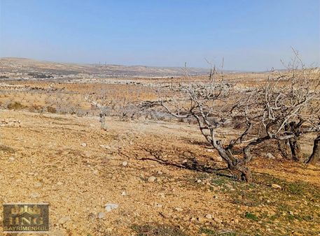 Y Arılda Satlık Arazi