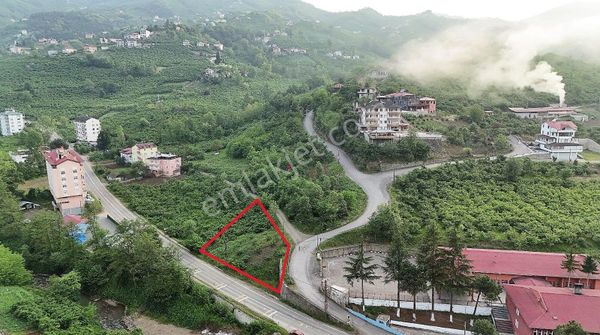 Trabzon Akçaabat Derecikte Ana Yol Üzeri Ticari+konut İmarlı 786 M2 Arsa
