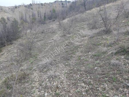 Asya Evim Emlaktan Ağlasun Yeşilbaşköy De Satılık Tarla