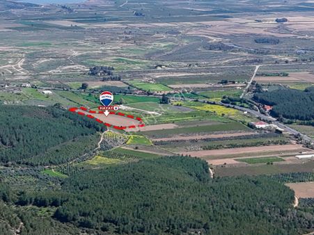 İzmir Selçuk'ta Denize Yakın Satılık Tarla