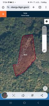 Kdz Ereğli Net Emlak Tan Alaplı Belen Köyünde 6496 M2 Fındık Bahçesi