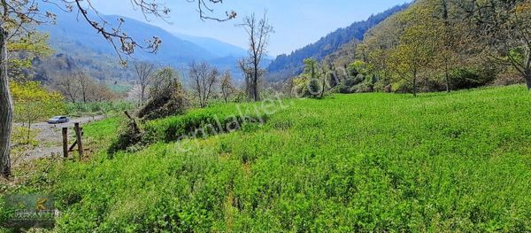 Doğa İçerisinde Bır Taraf Dere Bir Taraf Orman Satılık Bahçe