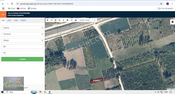 Pamukova Da Anayola Yakın Satılık Ayva Bahçesi