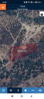 Yakapınar Köyünde Satılık Zeytinlik