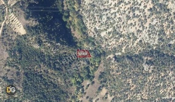 Bursa Keles Gelemiç Köyü - Yaza Kendi Bahçenizde Girin 492 M²