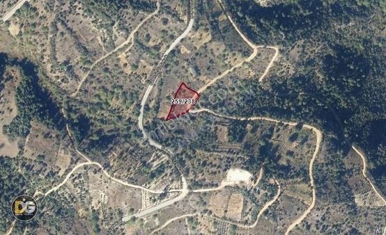 Bursa Keles Gelemiç Köyü Ana Yola Cephe 2437m²