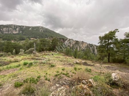 Günel Emlaktan Satılık Tarla