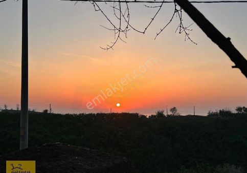 Kdz Ereğli Net Emlak Tan Şahane Konuma Sahip Akçakoca Da Site Daire