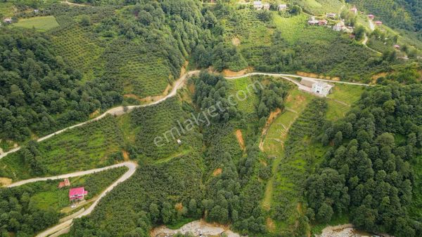 Giresun'da 495m² Köyiçi İmarlı Uygun Fiyata ''biarsa''nız Olsun!